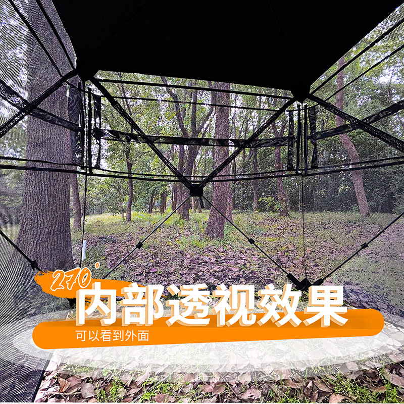 Outdoor 2-3 Person Automatic C - Camping Tent 评论和价格