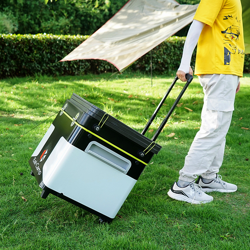 Portable Mobile Camping Kitche - Outdoor Camping Folding Storage Box 评论和价格