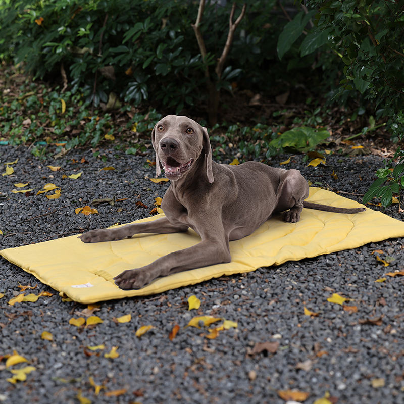 Portable Pet Mat Foldable Pet  - Outdoor Camping Rug 评论和价格