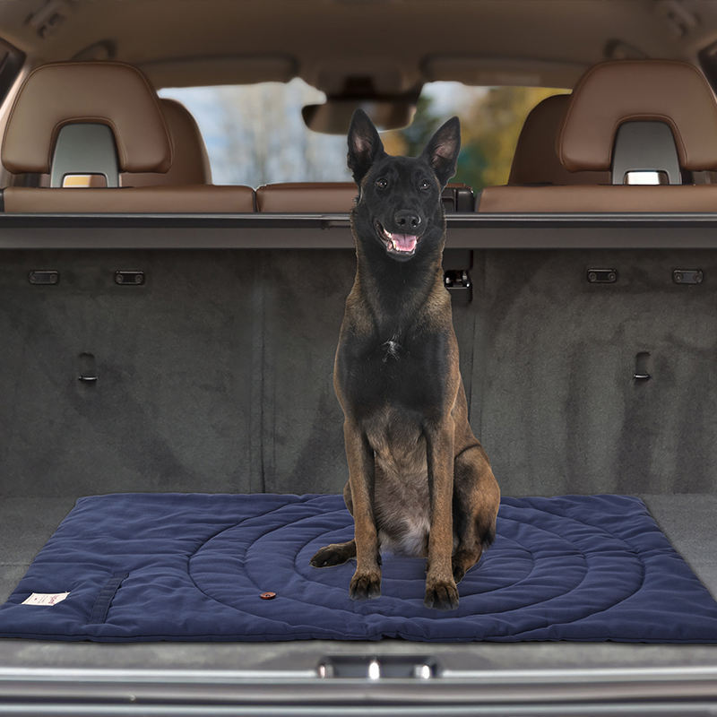 Portable Pet Mat Foldable Pet  - Outdoor Camping Rug 评论和价格