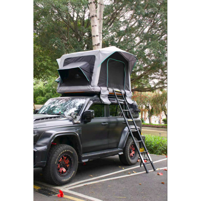 Inflatable Waterproof Roof Top - Outdoor Camping Vehicle 评论和价格